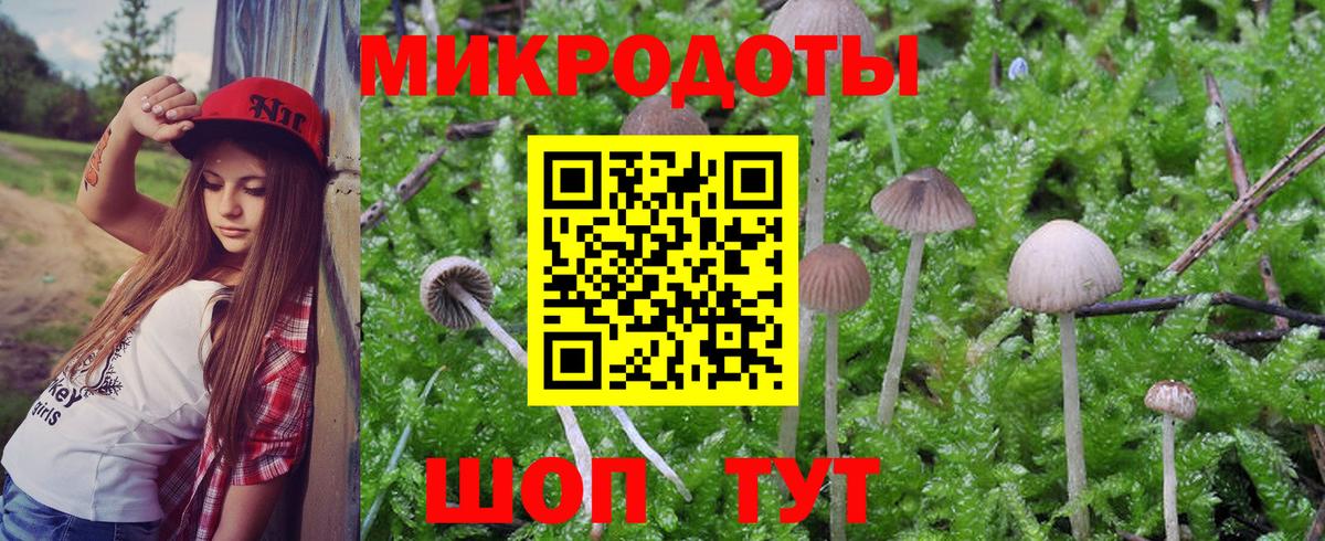 Нефтекамск  где купить наркоту  Вход с VPN  Галлюциногенные грибы прущие грибы 